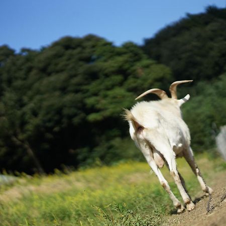 京都　舞鶴ふるるファーム　コテージ 舞鶴市 エクステリア 写真